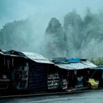 7958a3c67aa3dc155f3a4332ecba495d