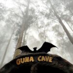 aa5eac509df68c820b7f1cd4aa782f94