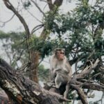 fbf8ee8fed5d26ae8608b7d90c41a8e2